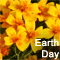 Smiling Flowers On 'Earth Day'...