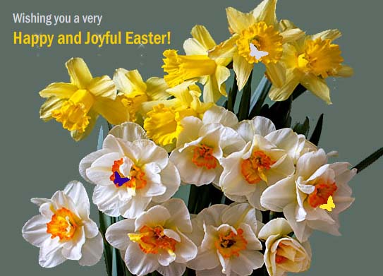 Beautiful Spring Flowers On Easter! Free Flowers eCards, Greeting Cards ...