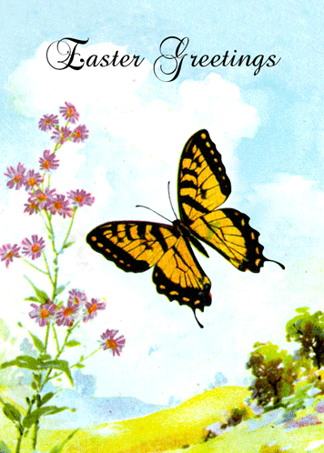 Easter Butterfly Flowers.