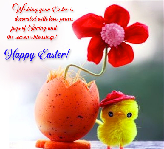 A Special And Cute Easter Chick Wish!