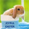 Joyful Wishes On Easter.