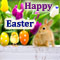 Colorful And Bright Easter Wishes!