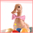 Quacking A Li&apos;l Easter Wish...
