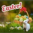 Warmest Easter Wishes To You!