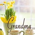 Daffodils For Grandma.