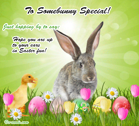 Some Bunny Special...