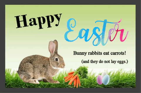 Happy Easter With A Bunny Rabbit.