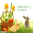 Bunny Invitation!