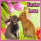 Easter Love Wishes.