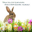 Bunny Thank You.