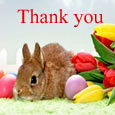 Thanks For Your Special Wishes!