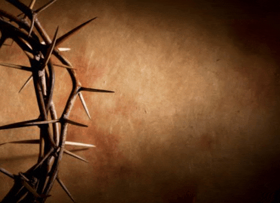 A Blessed Good Friday To All Of You.