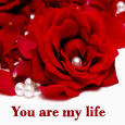 You Are My Life, Honey!