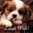 More Fun And Cheer In Laugh Week!