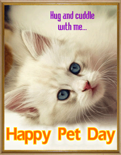 A Pet Day Card For You.