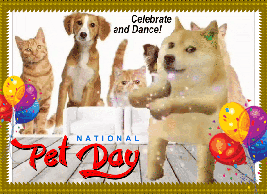 Celebrate And Do The Pet Dance.