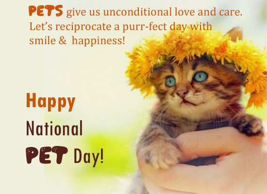 Pets Give Us Conditional Love!