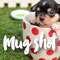Mug Shot Puppy!