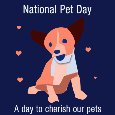 National Pet Day, Doggy.