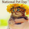Pets Give Us Conditional Love!