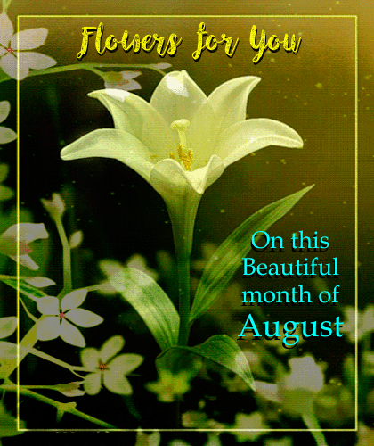 Beautiful Month Of August.