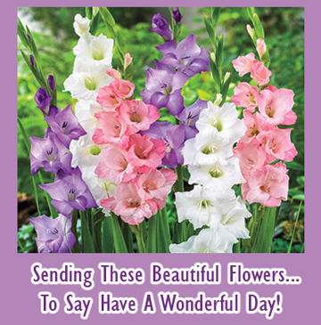 Beautiful Flowers Of August. Free August Flowers eCards, Greeting Cards ...