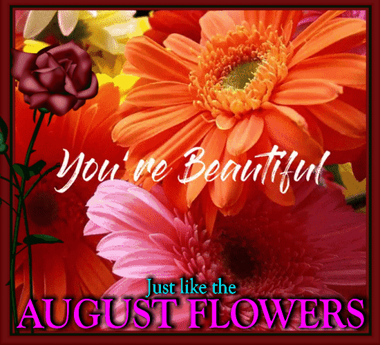 Beautiful August Flowers Card For You.