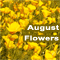A Warm Wish With August Flowers.