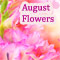Fragrance Of Beautiful August Flowers!