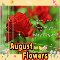 Beautiful August Flowers For You.