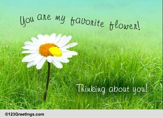 Send August Flower Month Wishes!