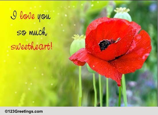A Romantic Flower Month Ecard!