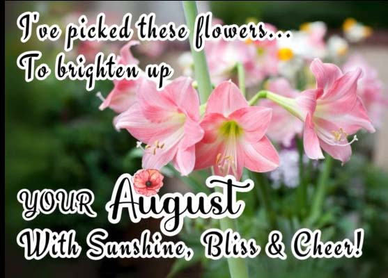 Flowers To Brighten Up Your Day. Free August Flowers eCards | 123 Greetings