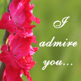 When You Admire Someone...
