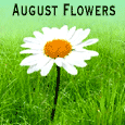 You Are My Favorite Flower...