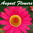 Beautiful August Flowers!