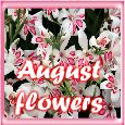 August Flowers Keep You Smile!