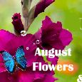 A Wish For You In August!