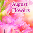 Fragrance Of Beautiful August Flowers!