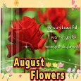 Beautiful August Flowers For You.