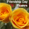 Roses On Friendship Day.