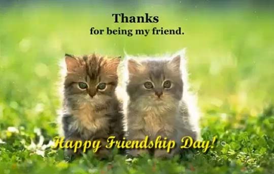 It’S Happy Friendship Day! Free Happy Friendship Day eCards | 123 Greetings