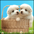 Wonderful Friendship...