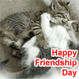 Friendship Day Cute Wish.