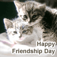 A Sweet Friendship Day Wish.