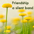 Friendship Is A Silent Bond!