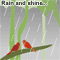 Friendship Through Rain And Shine...