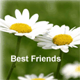 Compliment Your Best Friend.