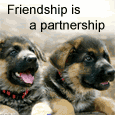 Friendship Is Essentially Partnership!