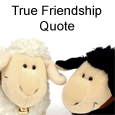 Our Friendship... Buddy!